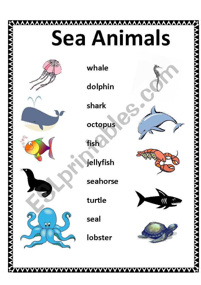 Matching - Sea Animals worksheet