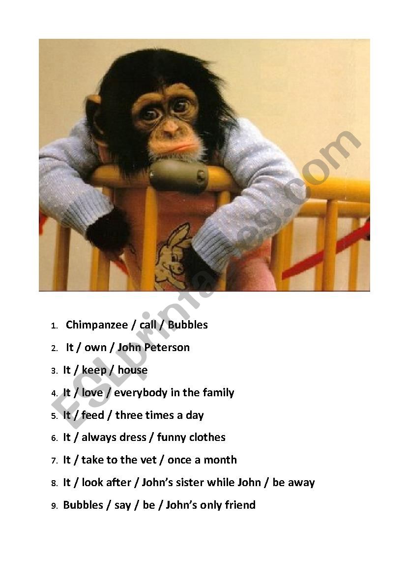 Chimpanzee Named Bubbles worksheet