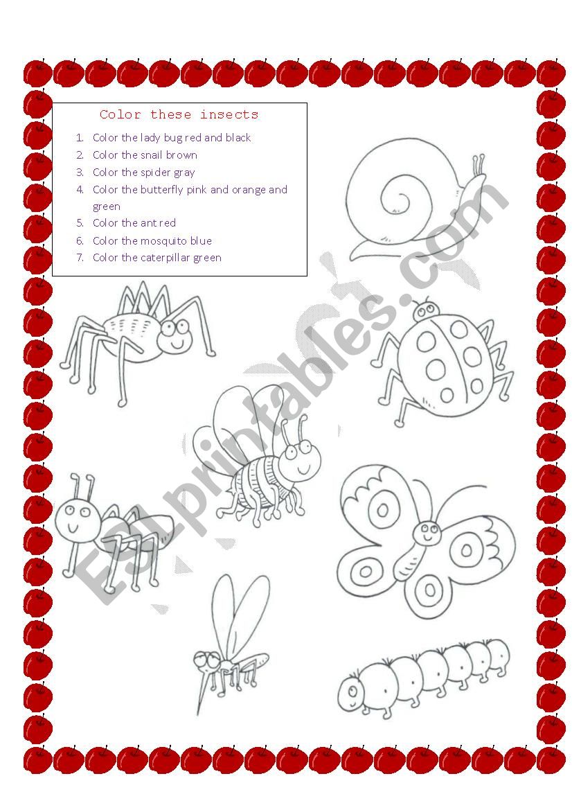 insects worksheet