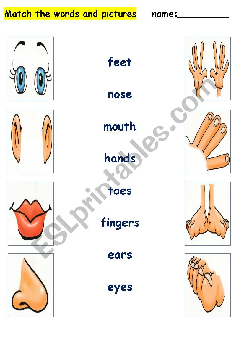Match the words and pictures worksheet