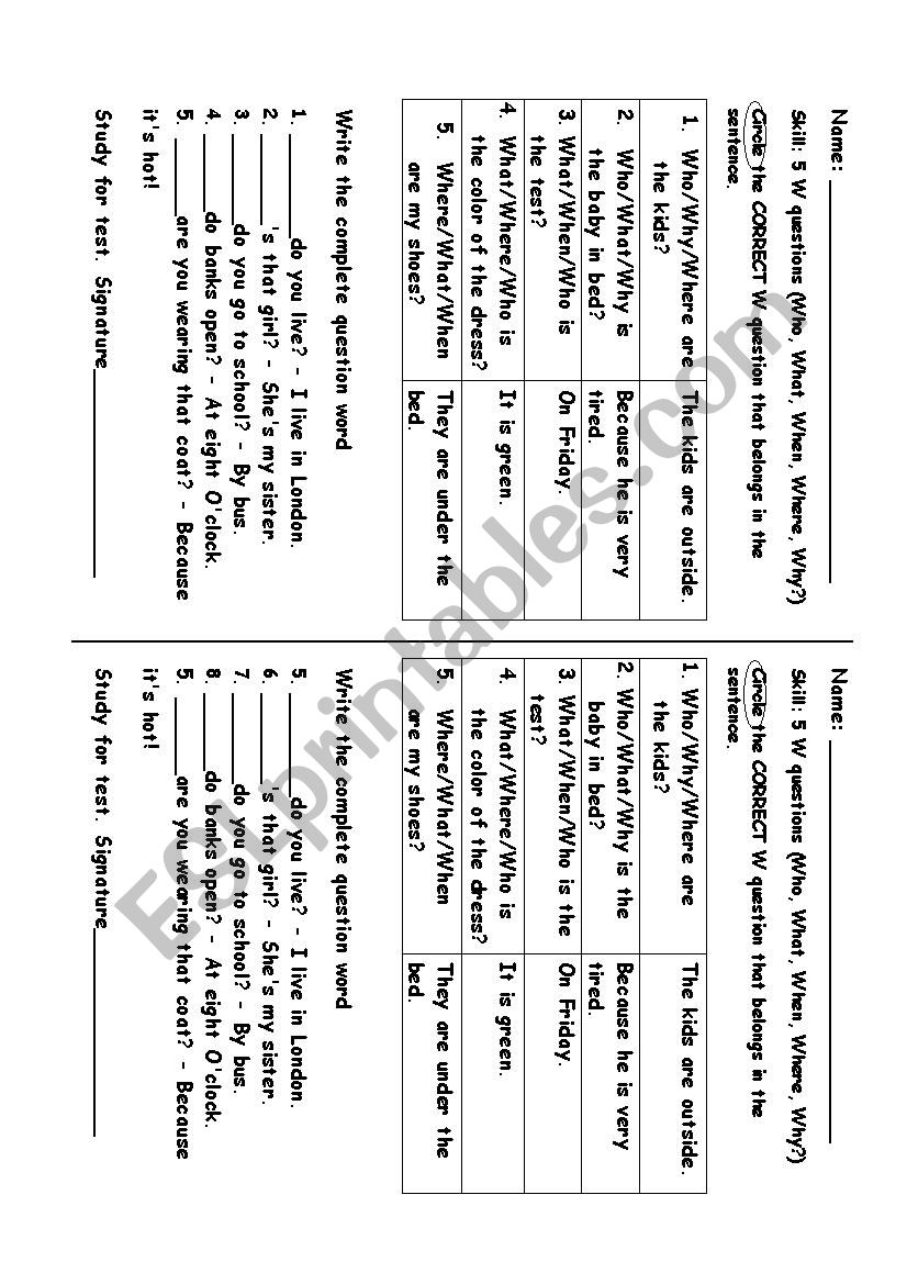 Wh question worksheet worksheet