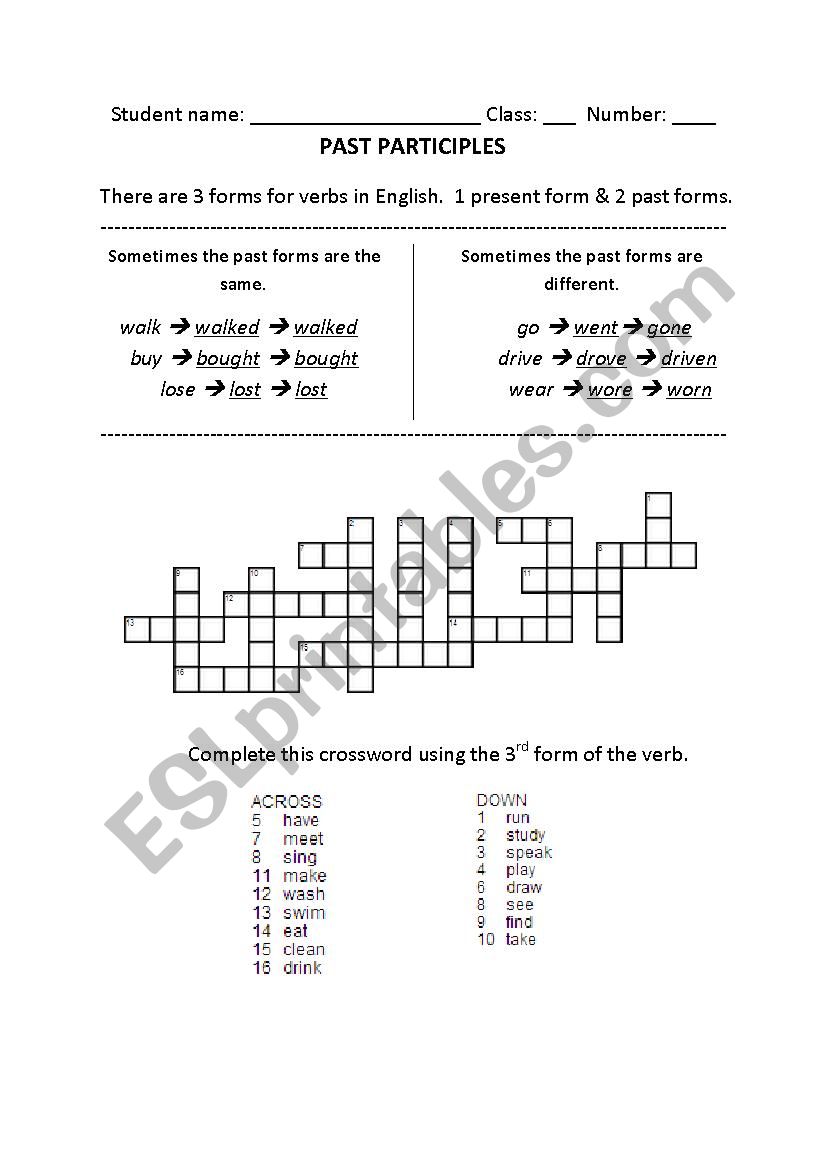 Past Participle Crossword worksheet