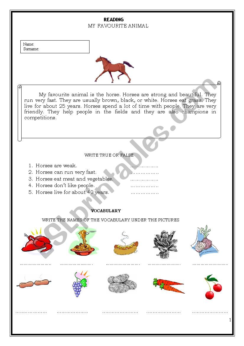 reading passage about horses worksheet