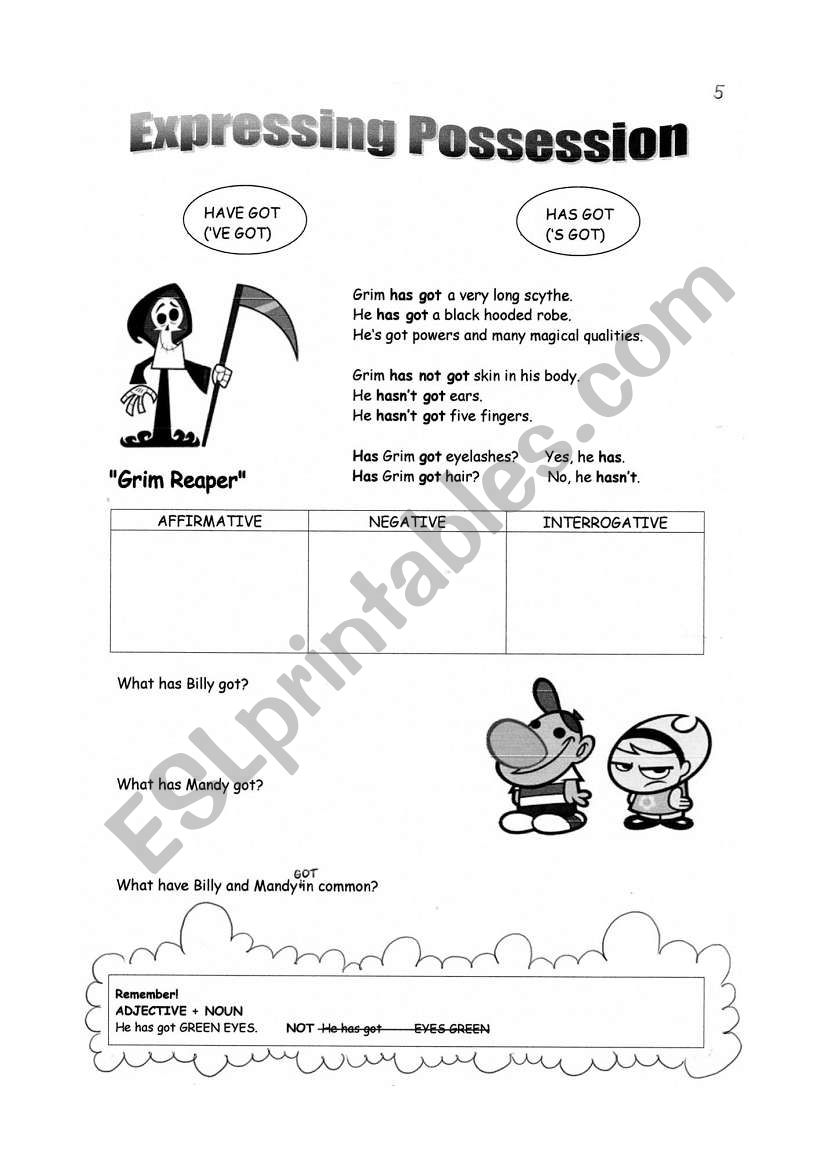 HAVE GOT- HAS GOT EXPLANATION worksheet