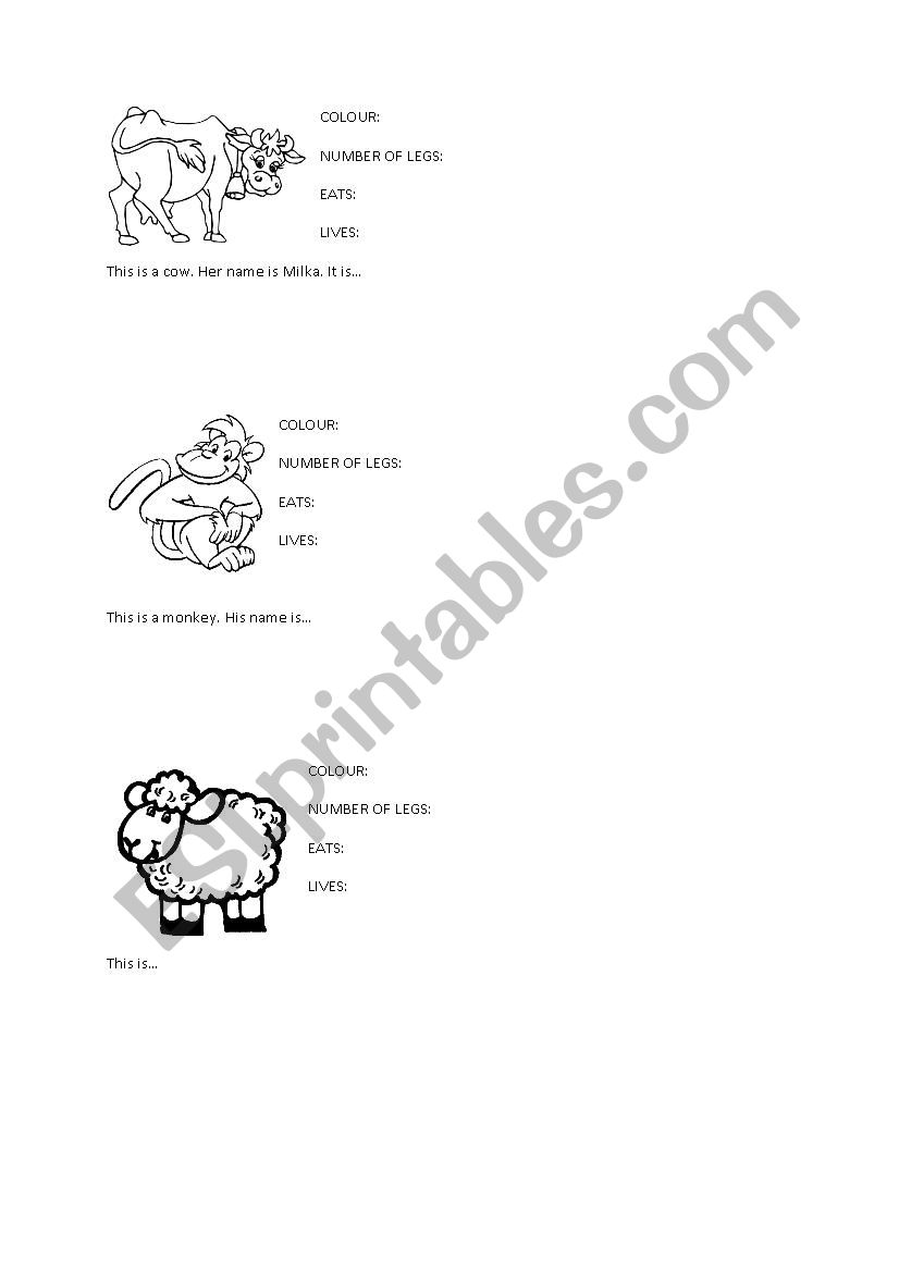 Describing animals worksheet