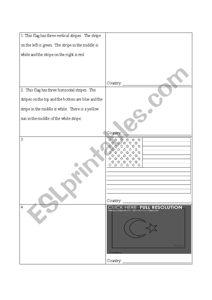 Flag Descriptions worksheet