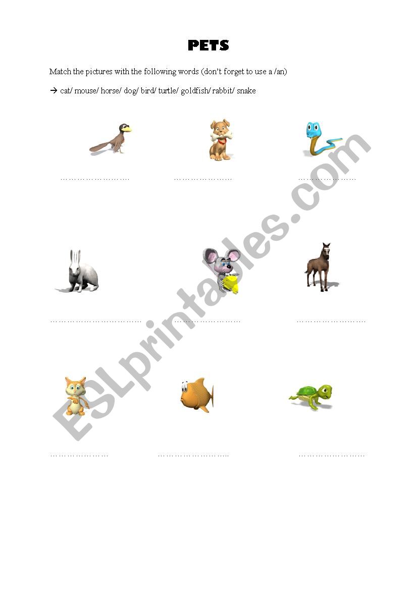  PETS  / ANIMALS worksheet