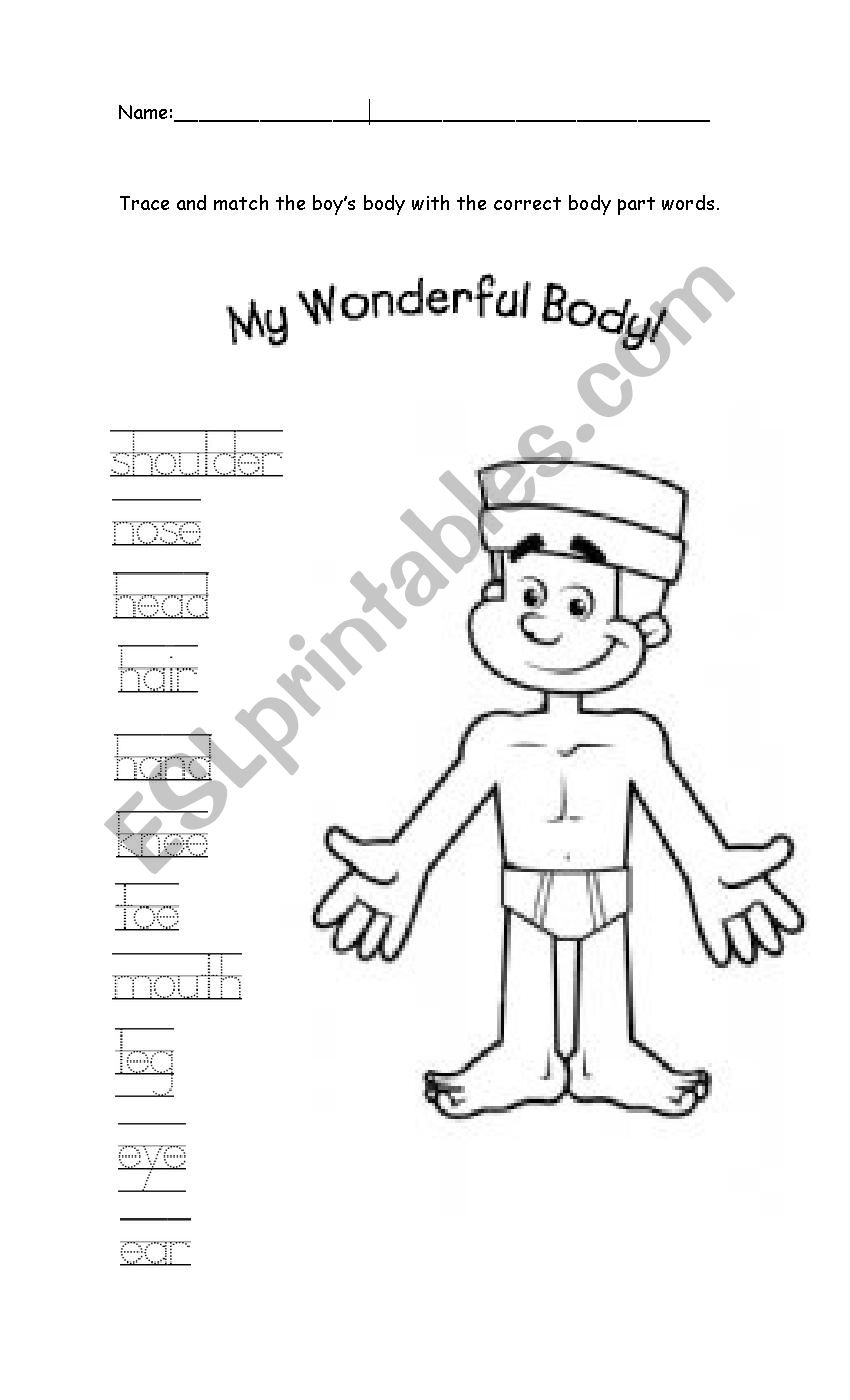 Boy Body worksheet