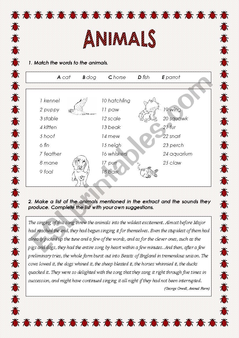 Animals worksheet