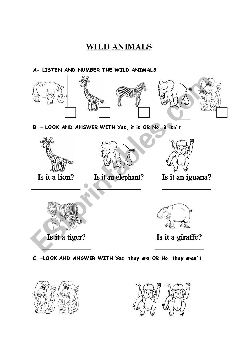 wild animals worksheet