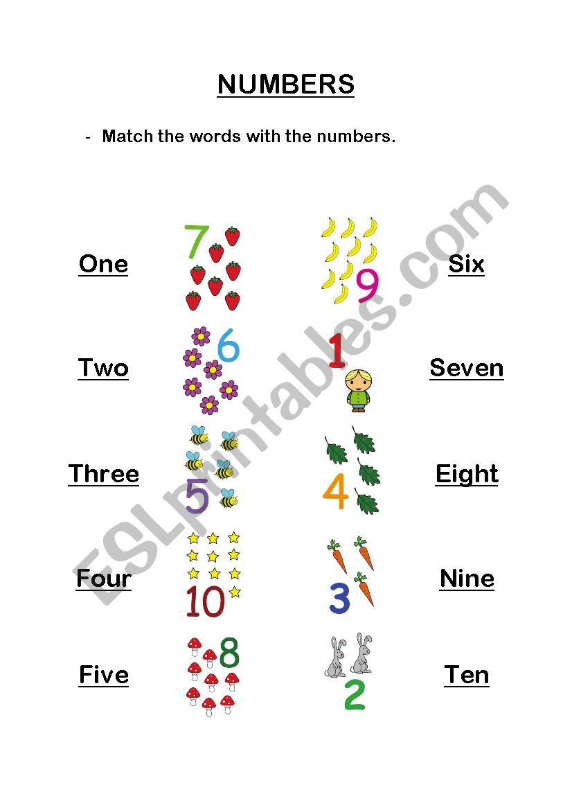 Numbers worksheet