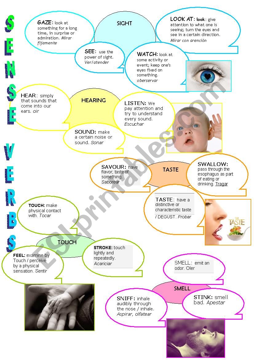 SENSE VERBS worksheet