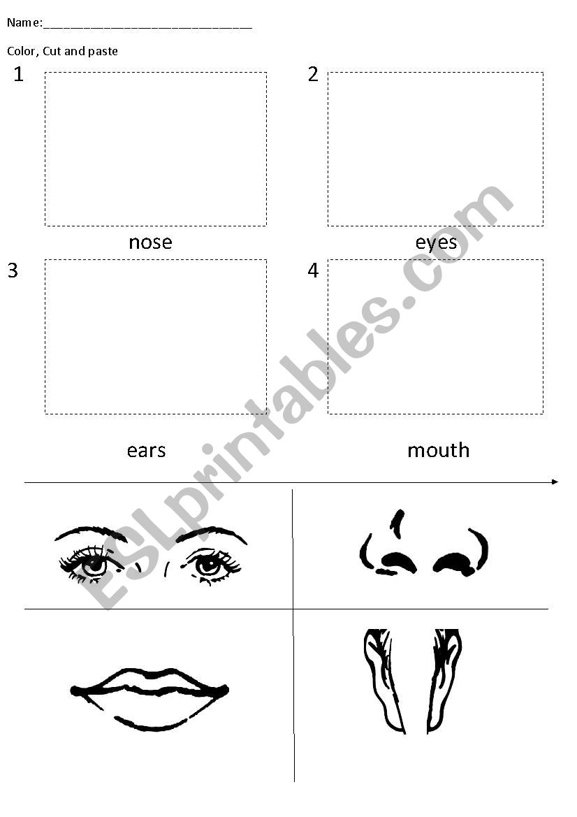 the face worksheet
