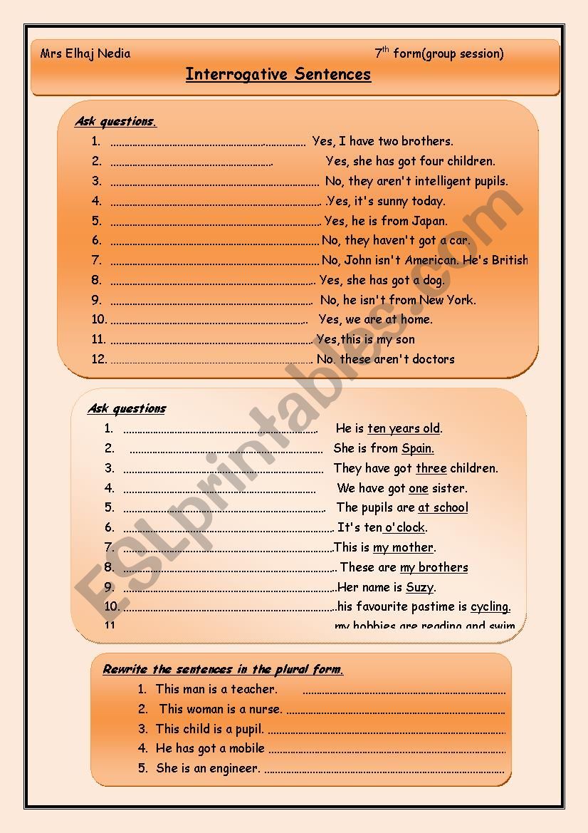 Interrogative Sentence Worksheet