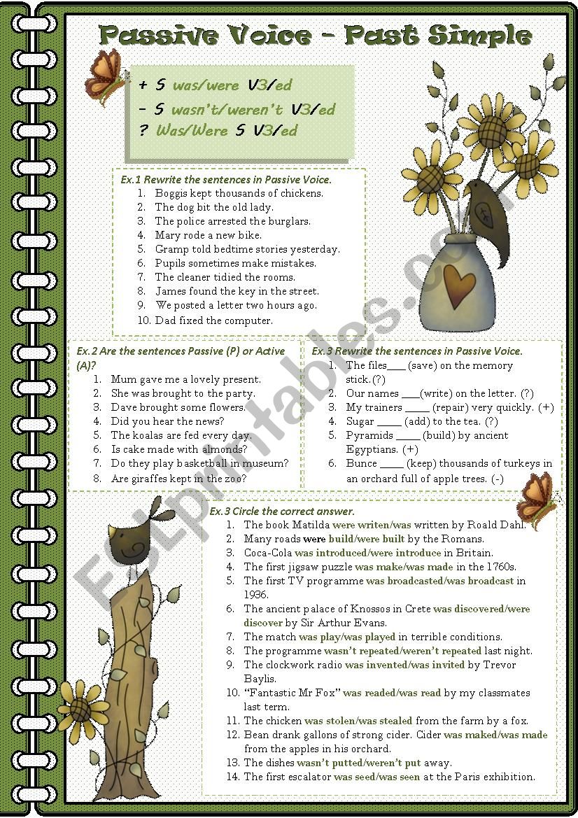 Past Simple Passive worksheet