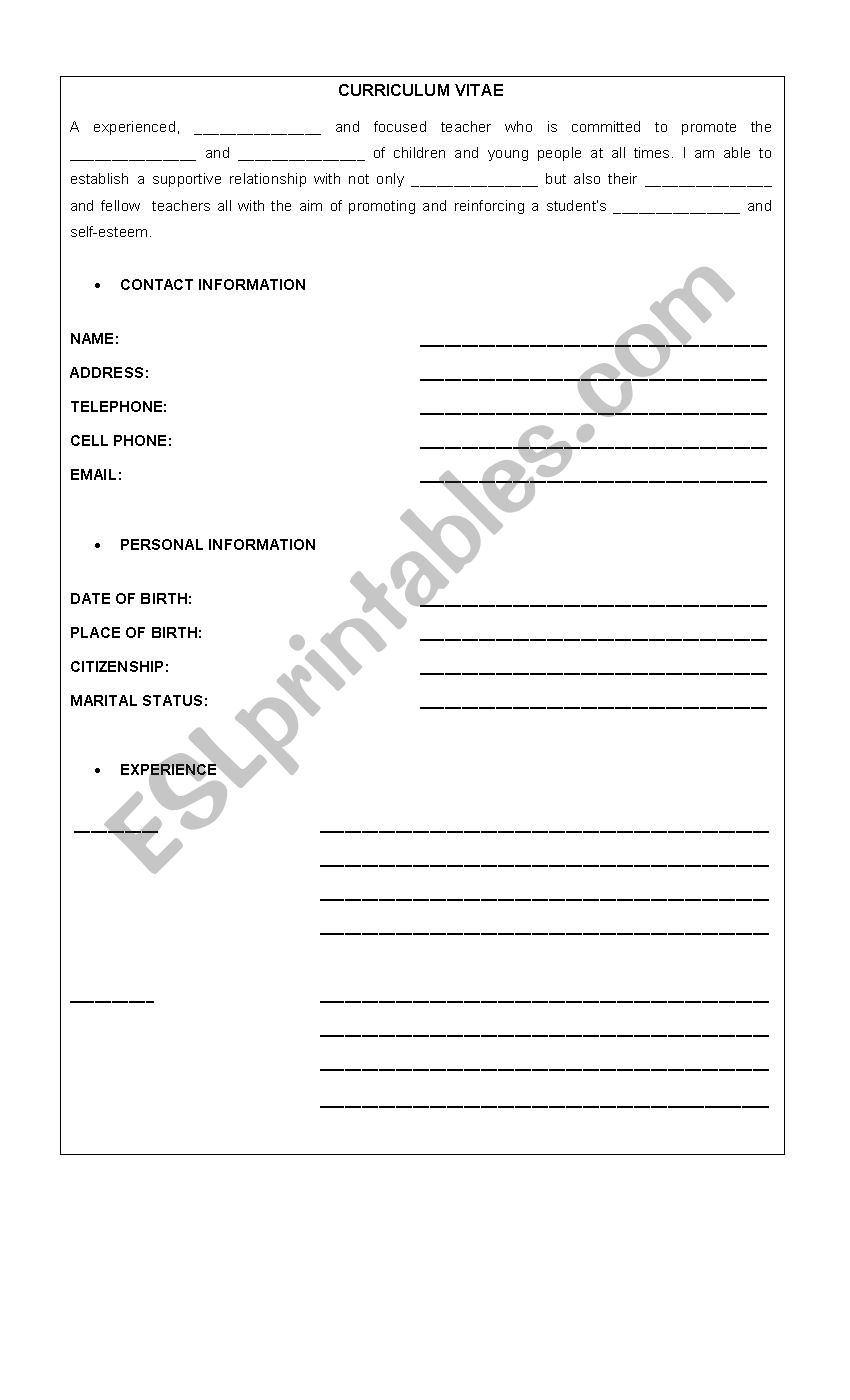 CURRICULUM VITAE ACTIVITY worksheet