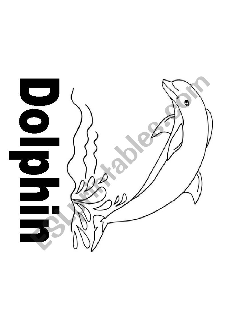 Ocean Animal Flashcards worksheet