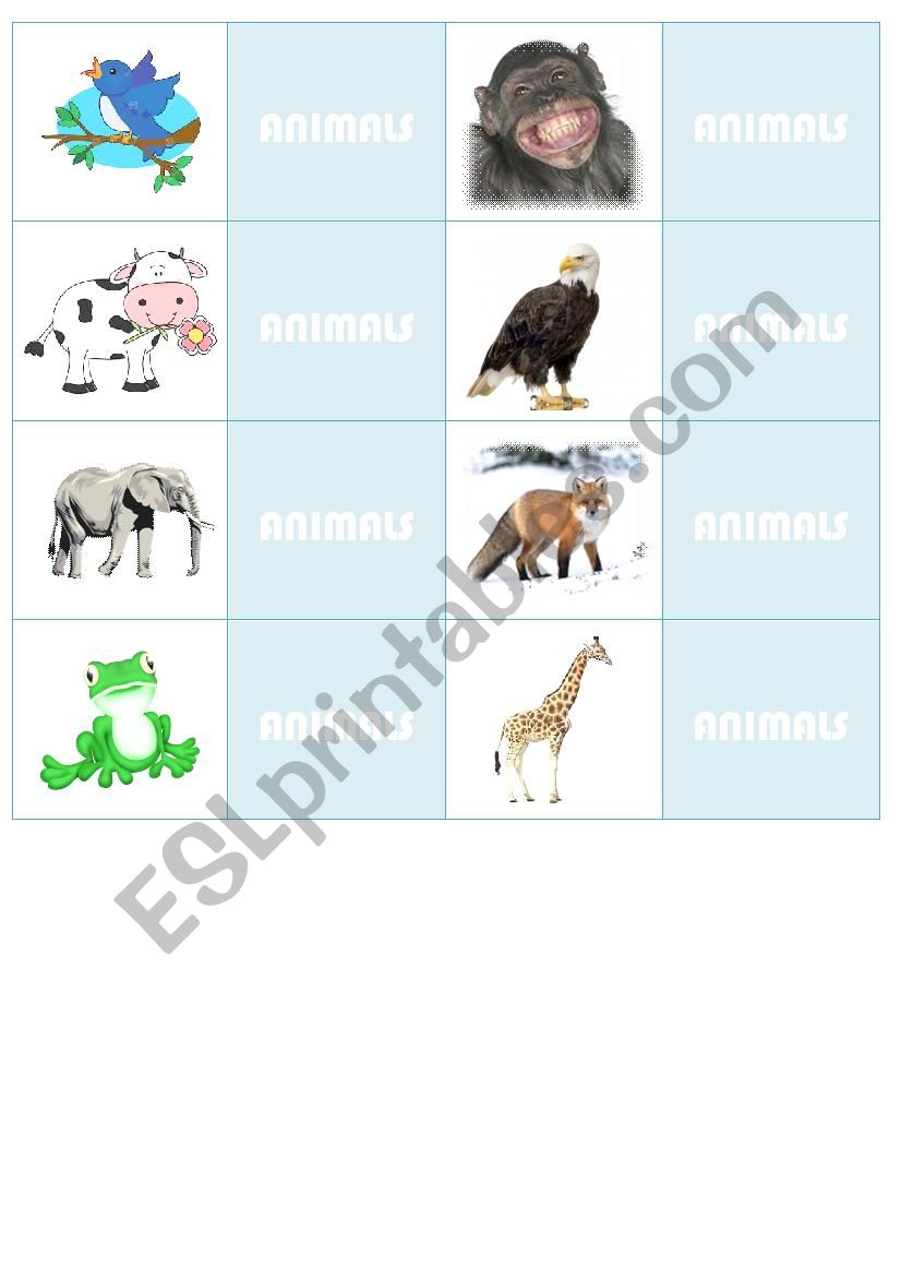 Animals flash cards worksheet