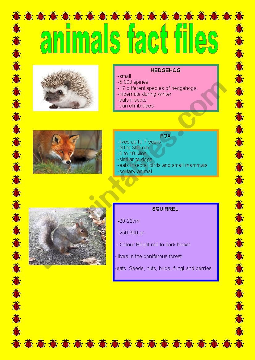 ANIMALS FACT FILES worksheet