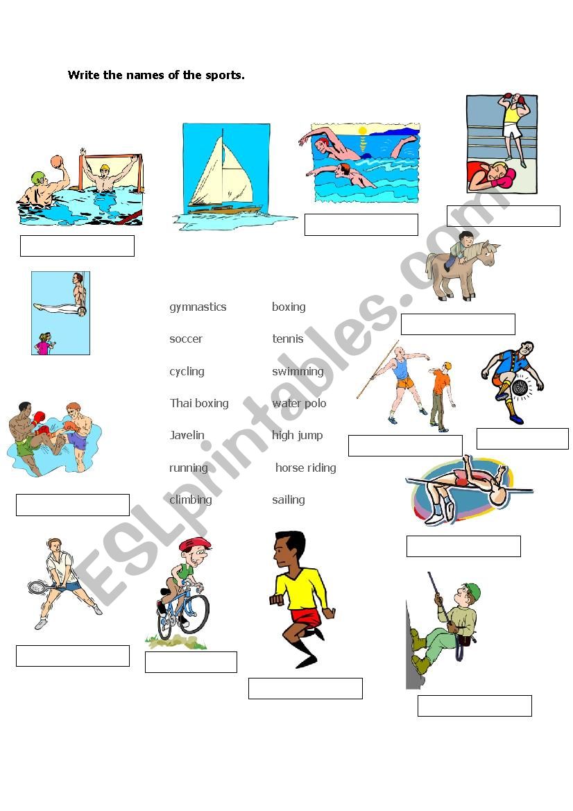 Vocabulary Practice for Sports