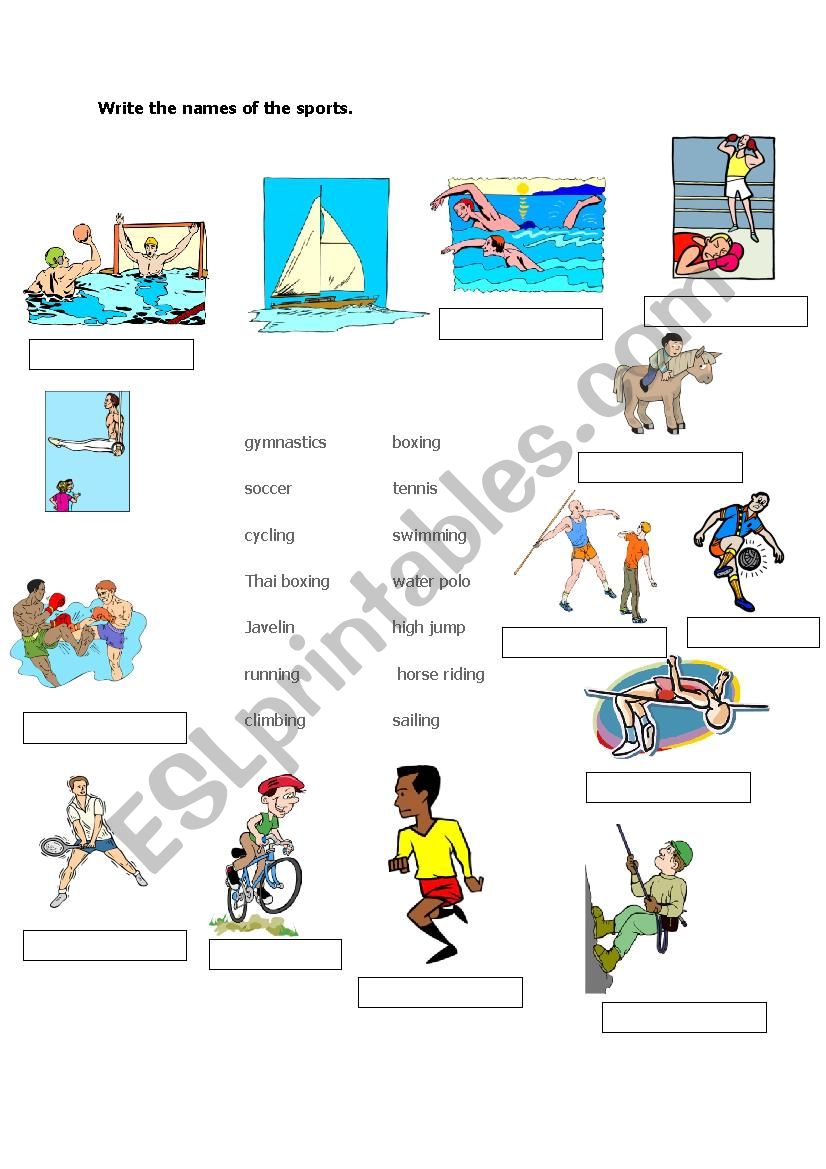 Vocabulary Practice for Sports