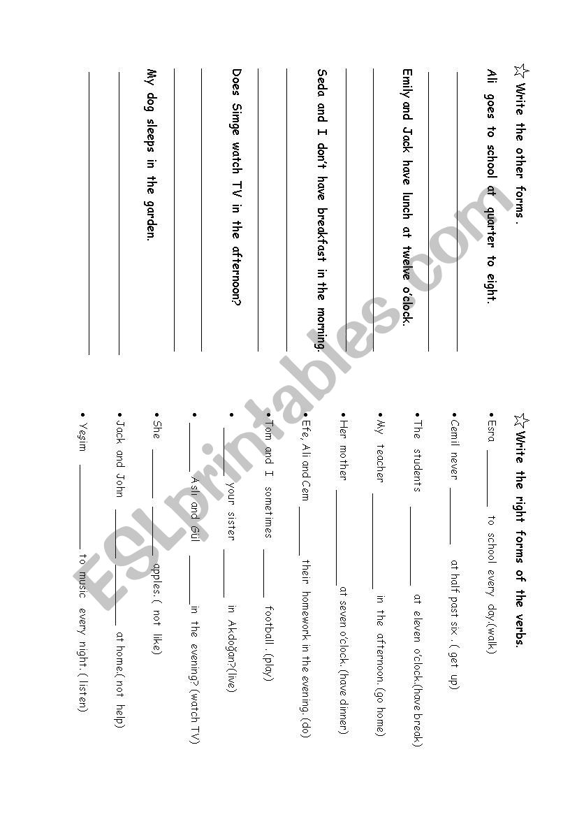 Present Simple Tense worksheet