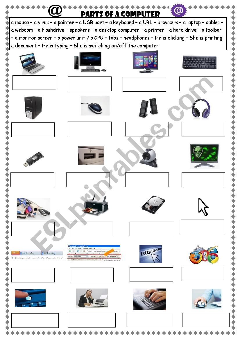 Parts of a computer worksheet