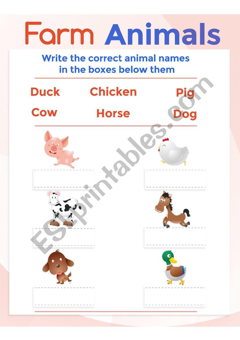 Farm Animals Worksheet worksheet