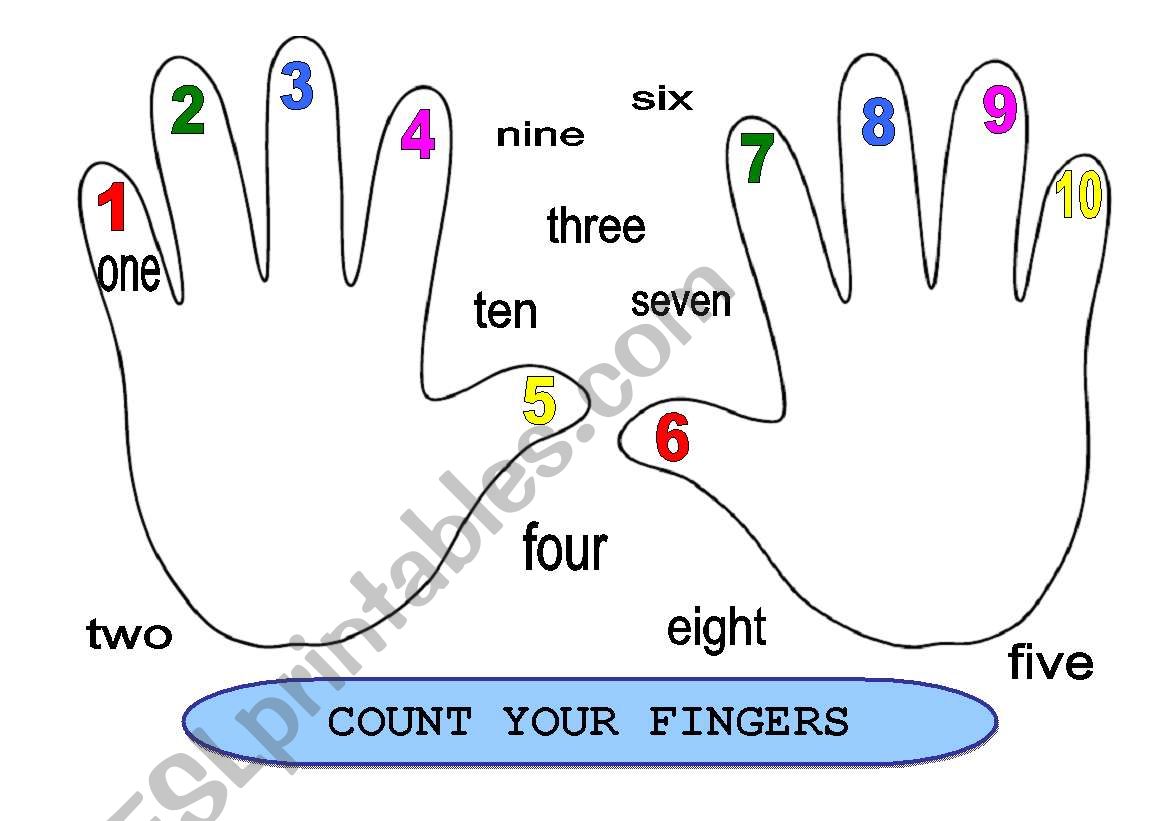 Count your fingers worksheet