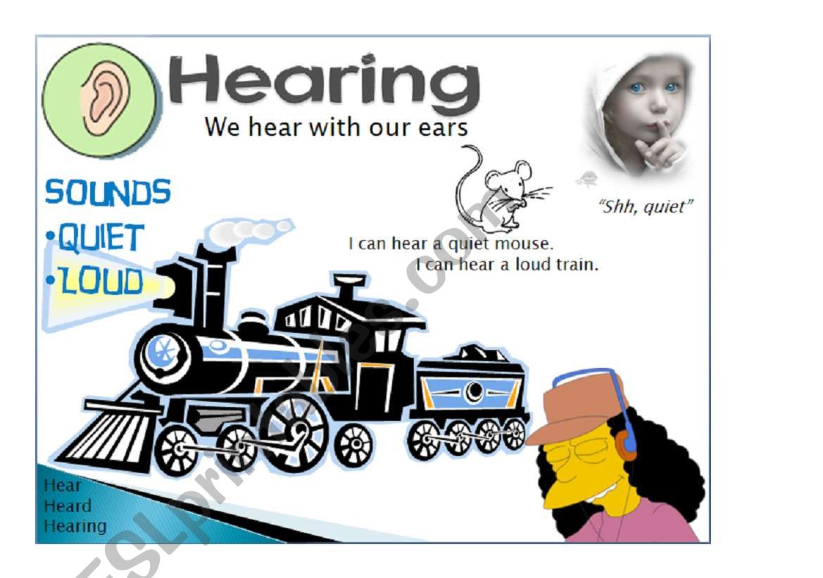 Five senses - Hearing 1/5 worksheet