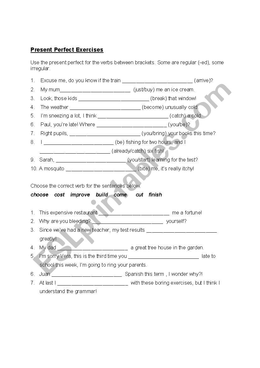 Present perfect exercises worksheet