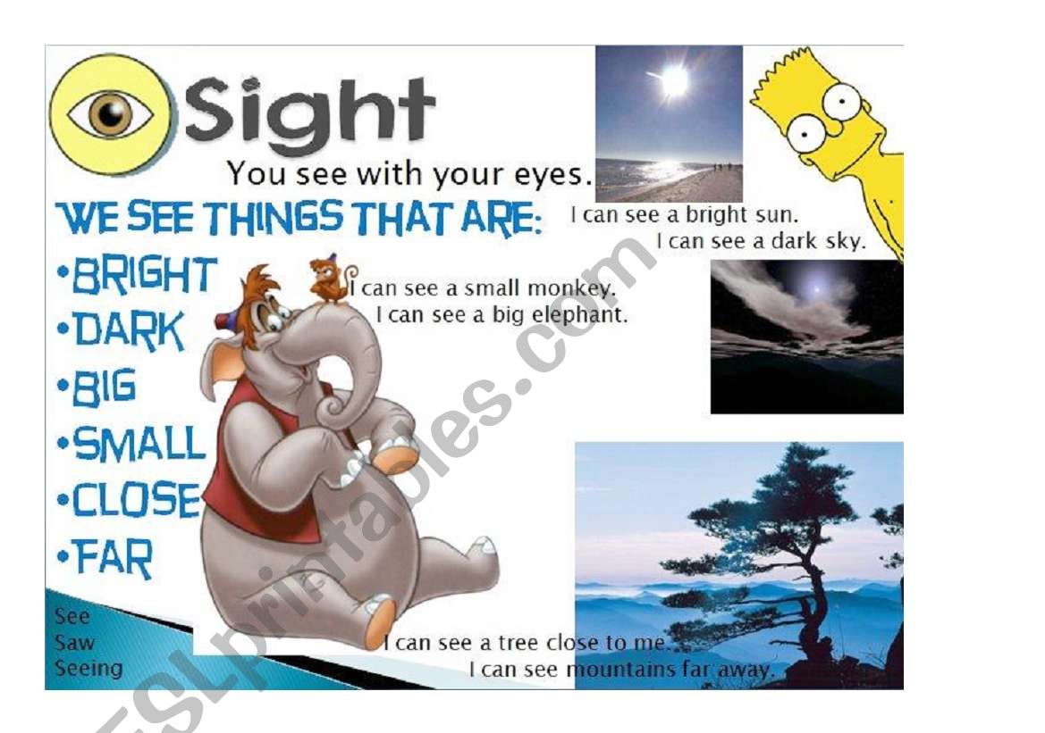 Five senses - Sight 2/5 worksheet