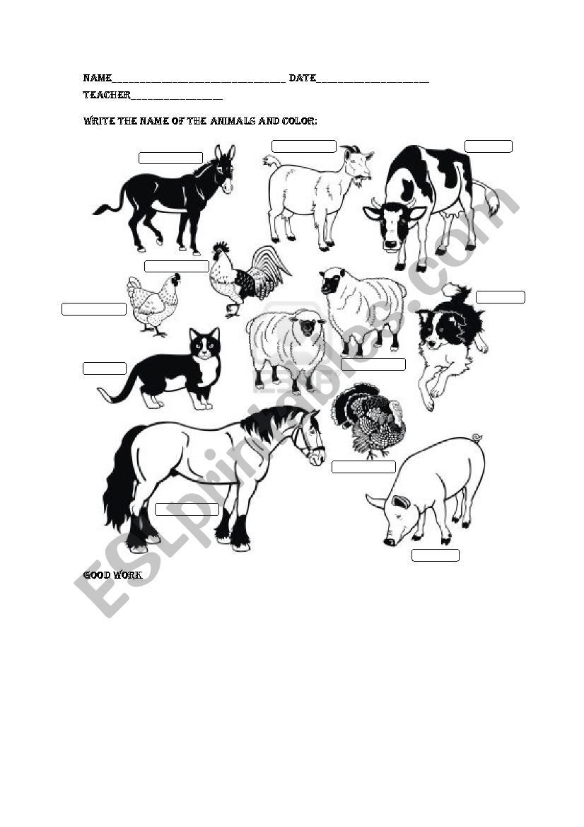 Animals worksheet