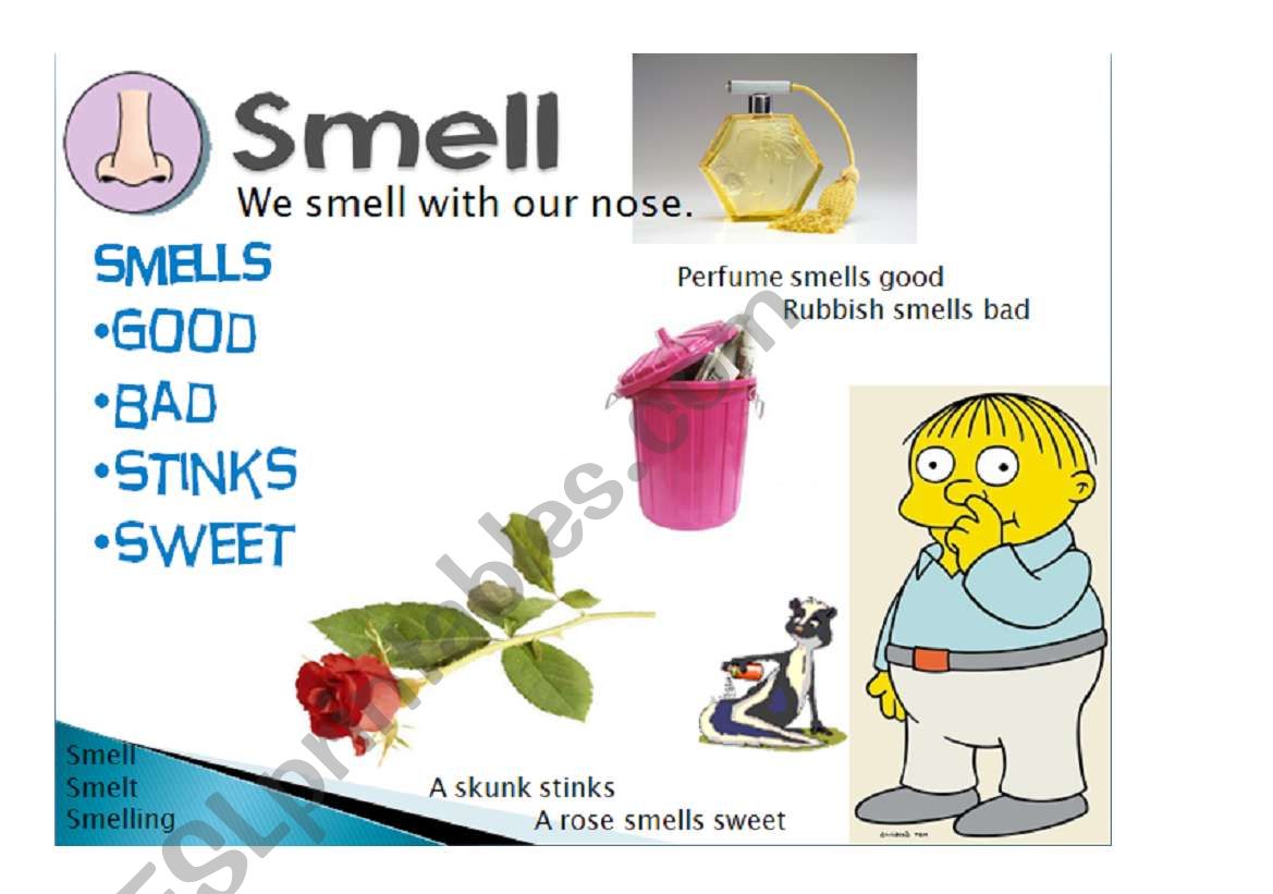 Five senses - smell 3/5 worksheet