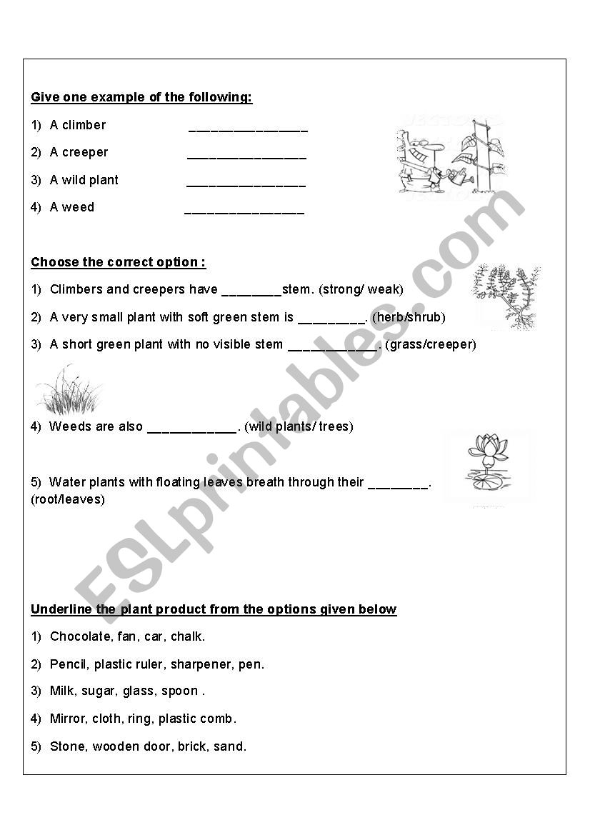 Plants and trees worksheet