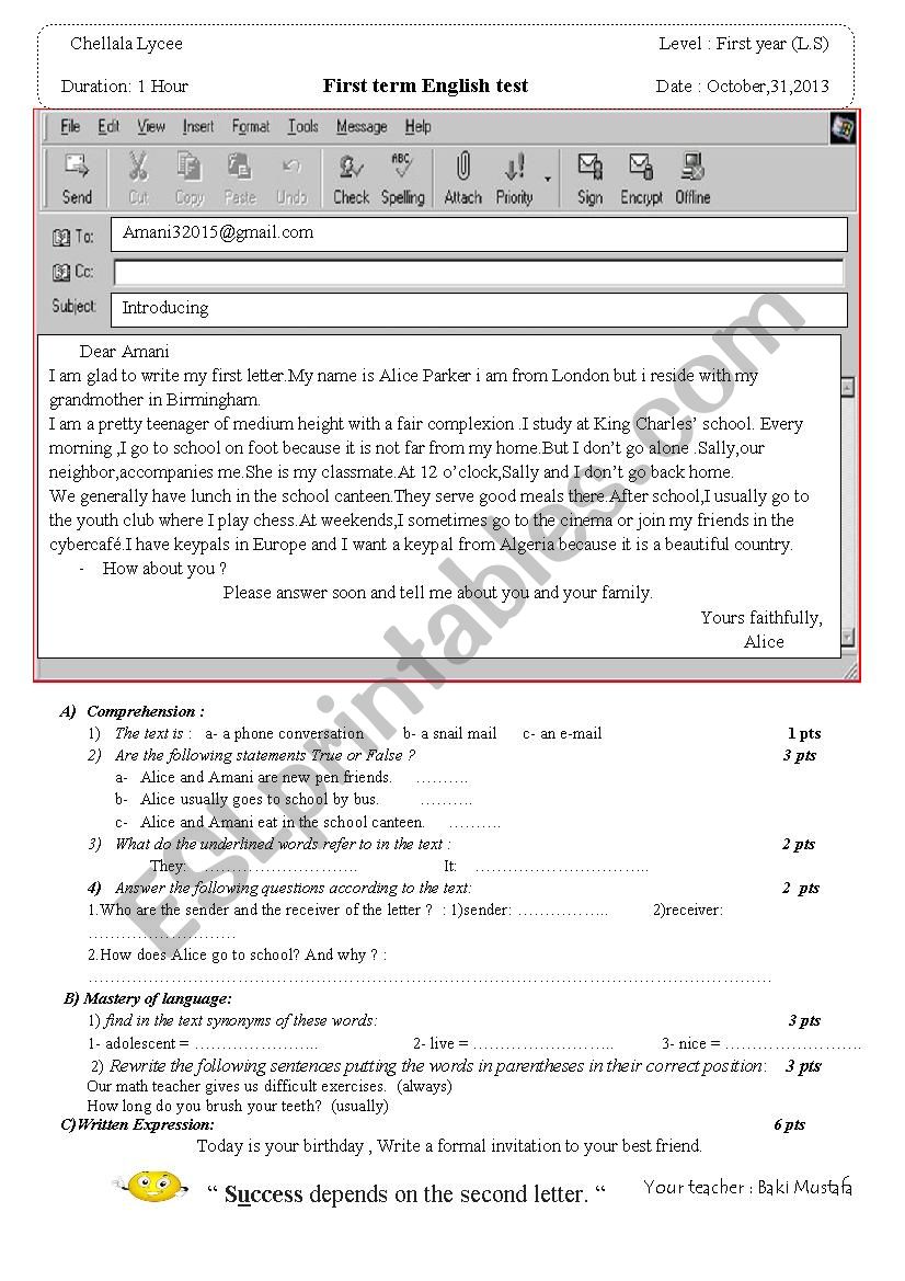 1st year test (e-mail) worksheet