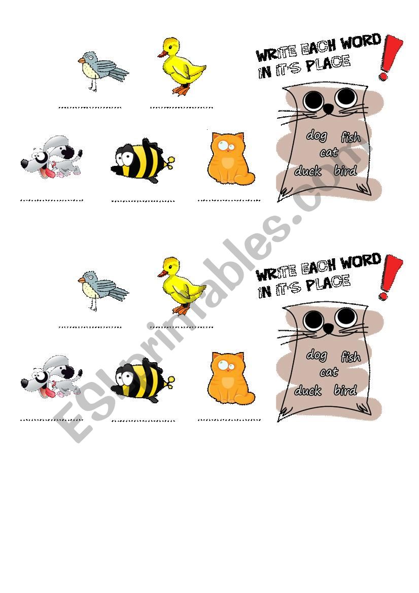 Animals worksheet