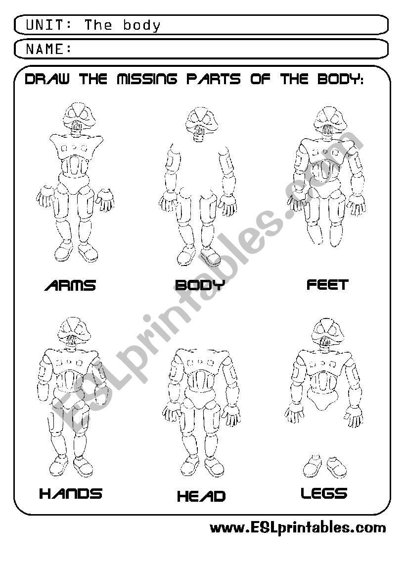 The body: draw the missing parts