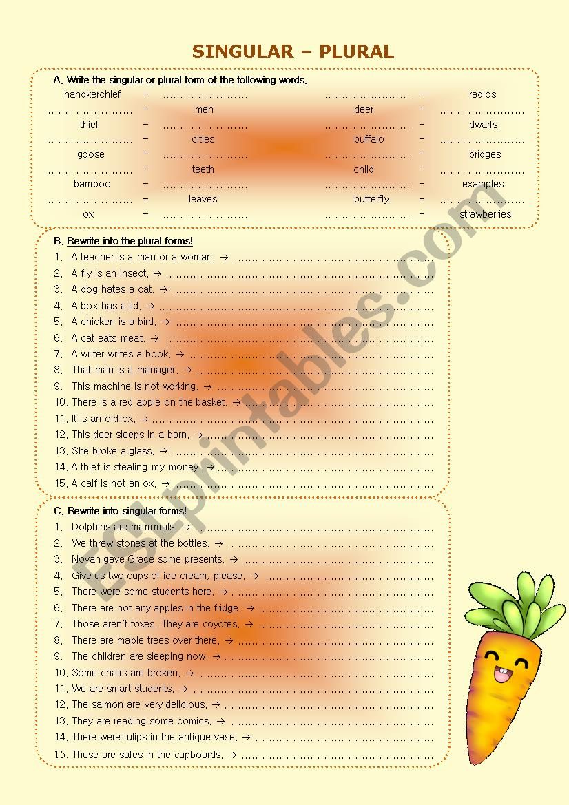 Singular - Plural worksheet