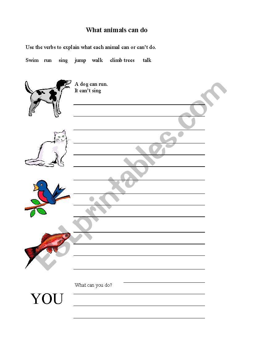 What can the animals do? worksheet