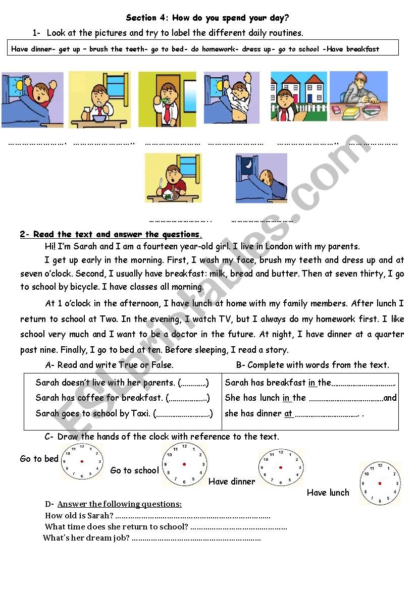 How do you spend your day? worksheet