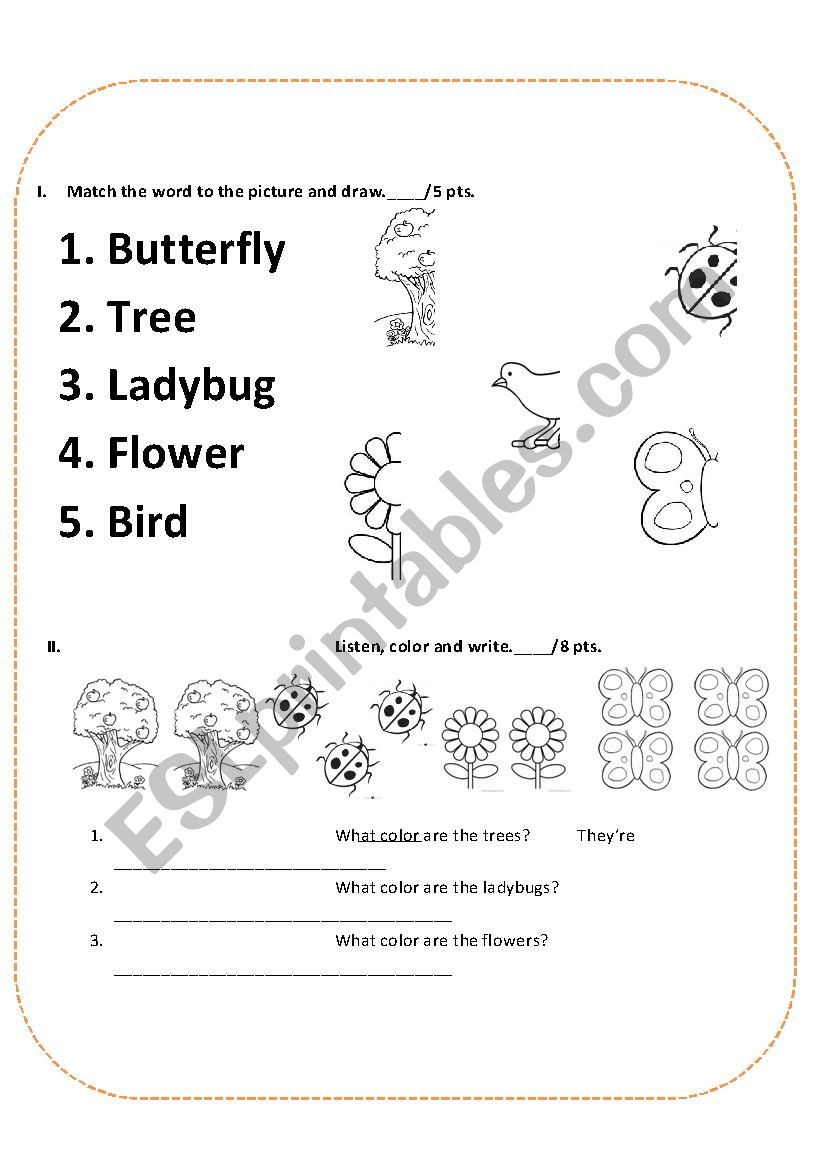 SPRING worksheet