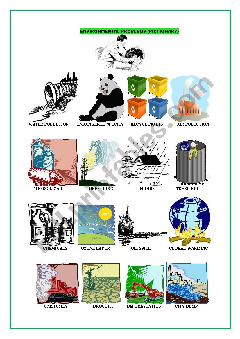 Environmental Pictionary (Picture Dictionary)