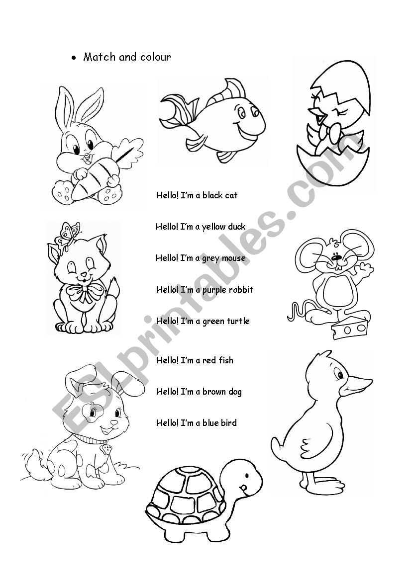 Animals and colours worksheet