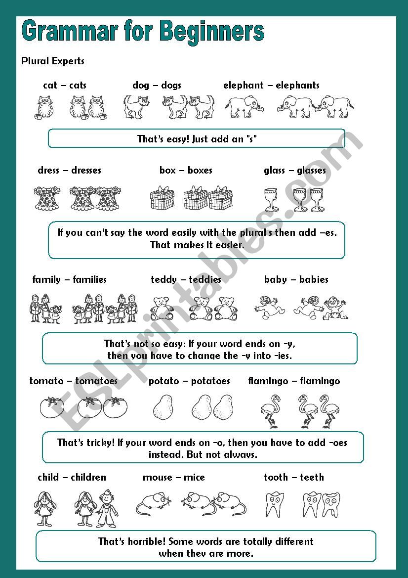 Grammar for Beginners - Plurals