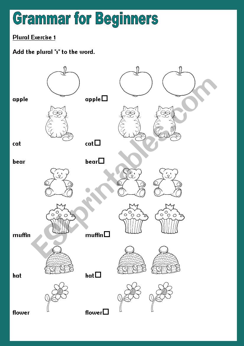 Grammar for Beginners - Plurals 2