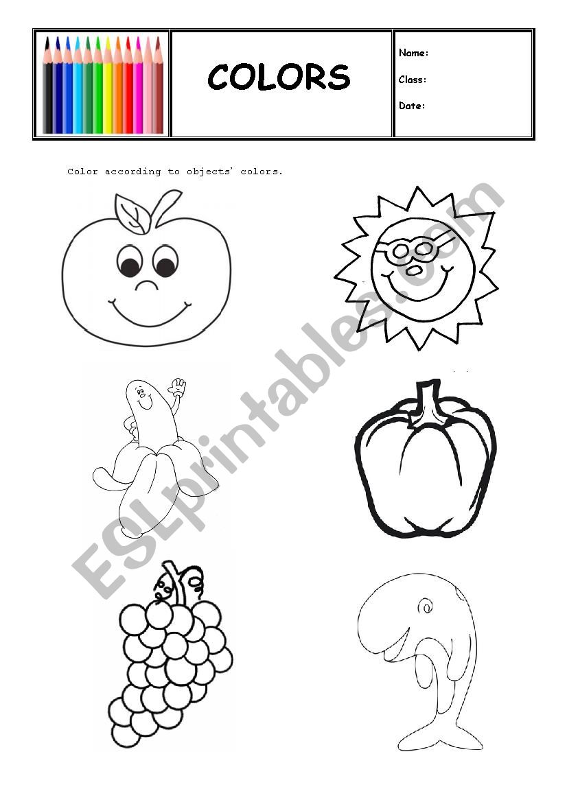 colors worksheet worksheet