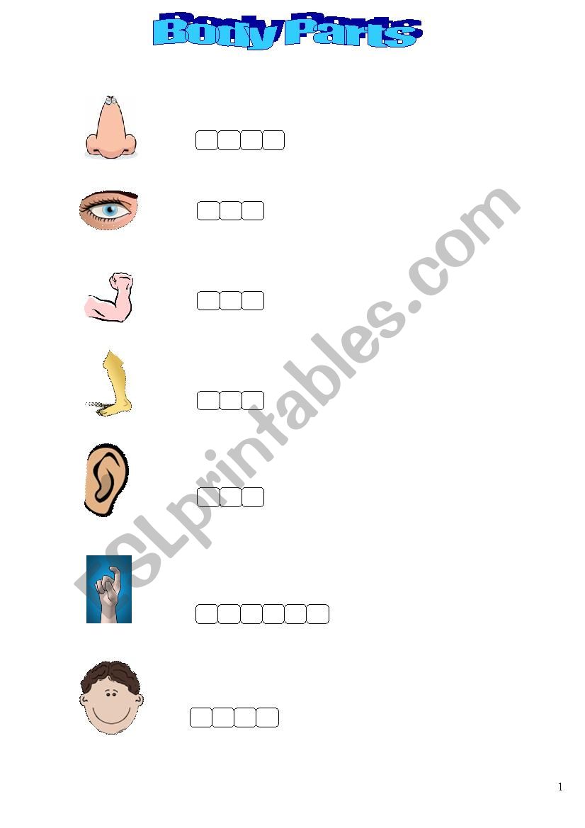 body parts worksheet