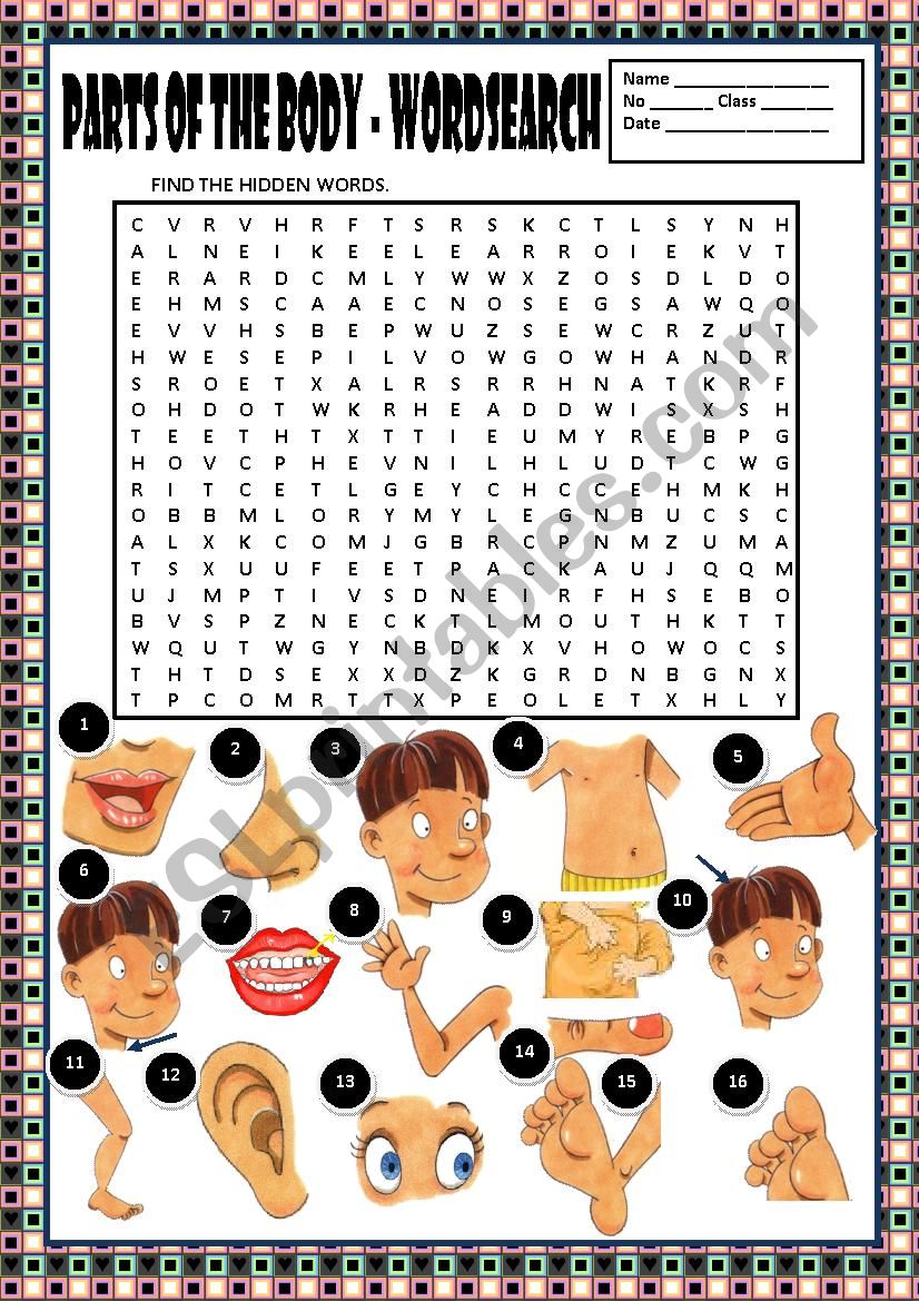  BODY - WORDSEARCH + KEY worksheet