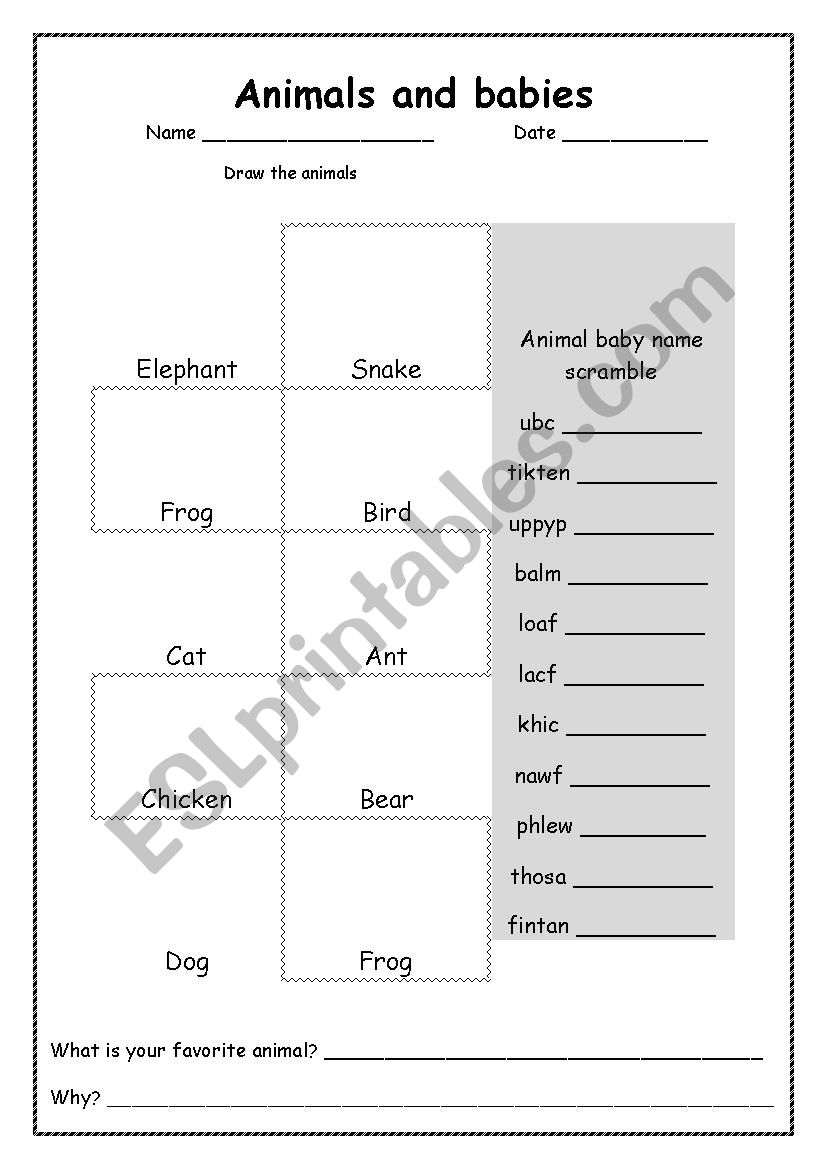 Animal baby names worksheet